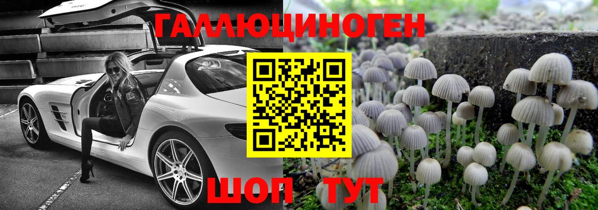 наркотики  Псилоцибиновые грибы Cubensis  Вход с VPN  Лесосибирск 